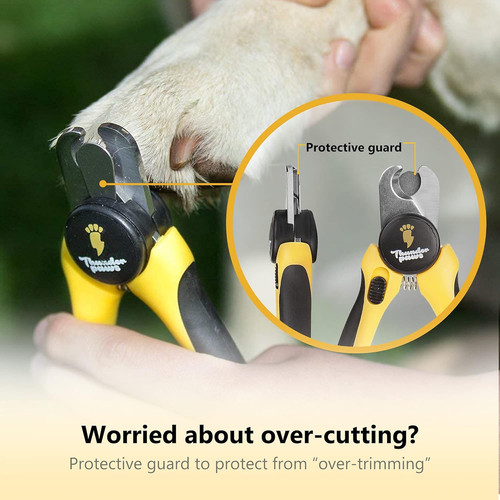 Thunderpaws professional grade - thunderpaws, professional-grade