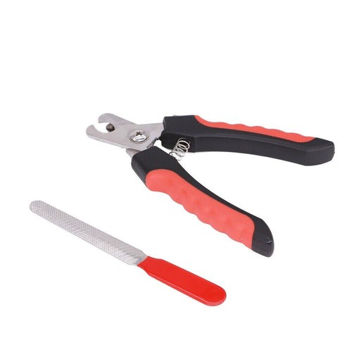 Dog nail clippers claw - dog,