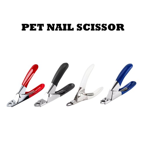 Dog cat nail toe claw - cat,