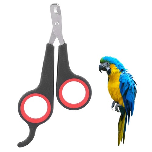 Pet nail clippers - nail,
