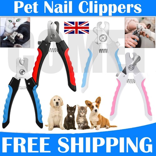 Pet nail clippers dog - nail,