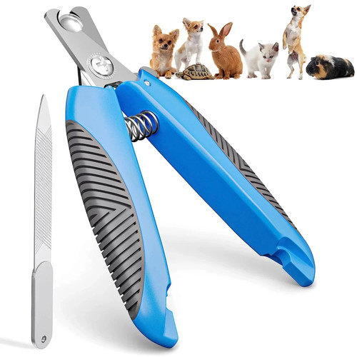 Dog cat pet nail - cat,