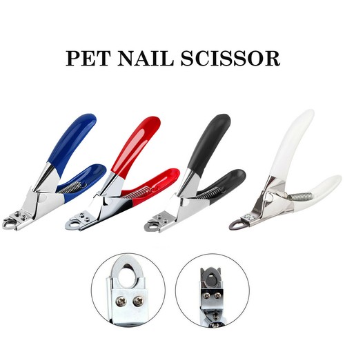 Pet nail clippers cat - nail,