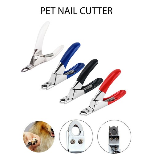 Dog nail clippers - clippers, pet