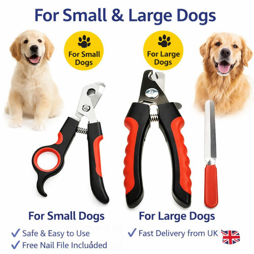Pets professional dog - pets, nail
