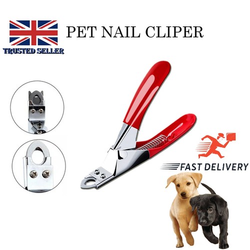 Pet tool dog cat nail - tool,