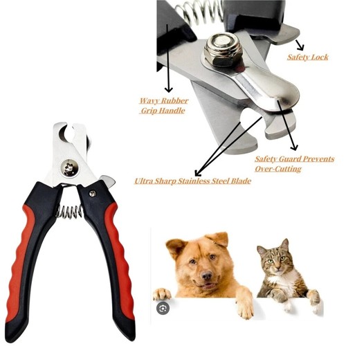 Claw grooming pet - grooming,
