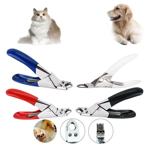 Dog nail clippers pet - dog,