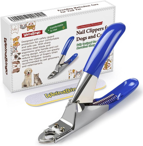 Dog cat pets - dog,