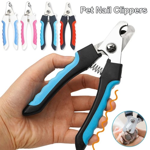 Large pet nail clippers dog - nail,