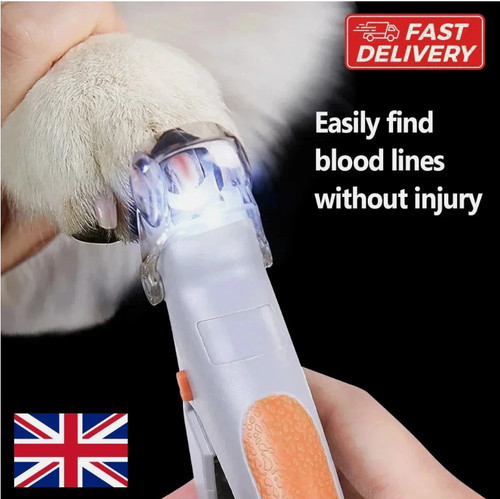 Dog cat pet nail - dog,