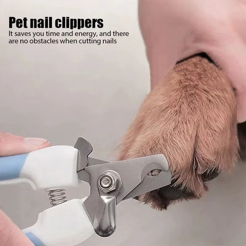 Pet nail clipper dog - pet,