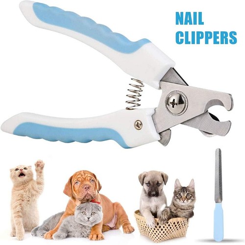 Dog nail clippers with quick - dog,