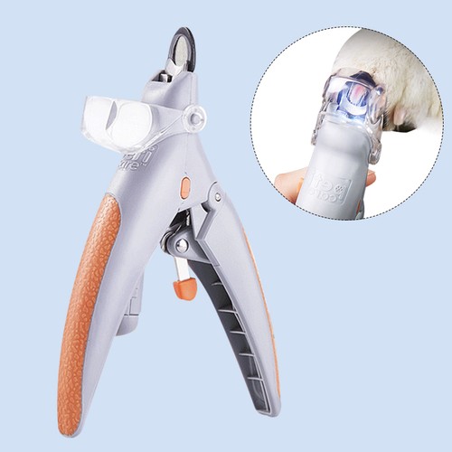 Professional illuminated pet - professional,
