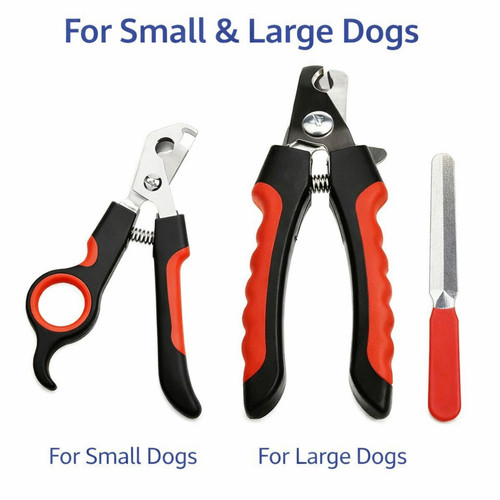 Professional dog nail clippers - nail,