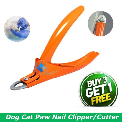 Professional pet nail - nail, clippers
