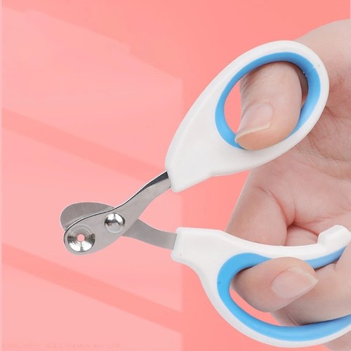 Professional cat nail clippers - nail,
