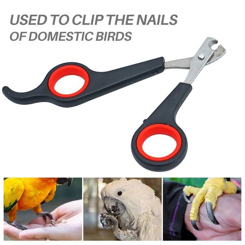 Pet nail clippers trimmer - pet,