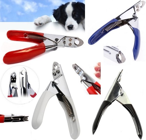 Stainless steel dog cat pet - cat,