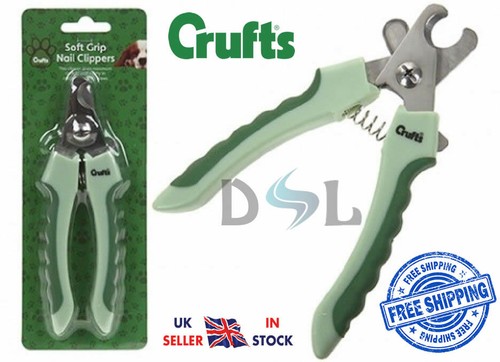 Crufts animal pet dog - animal, cat