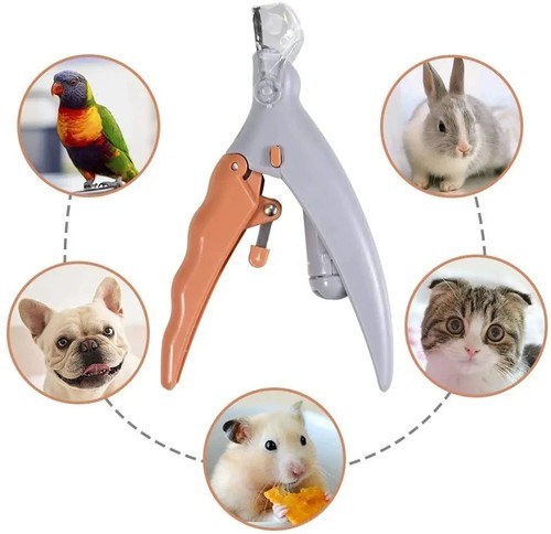 Pet nail clippers - nail, dogs