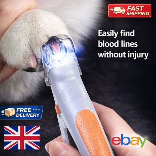 Dog cat pet - cat,