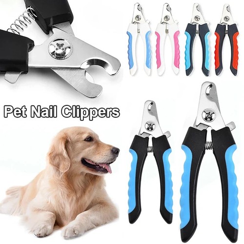 Small large pet nail - pet,