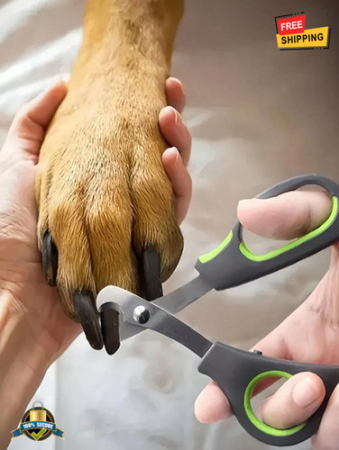 Stainless steel pet nail - steel,