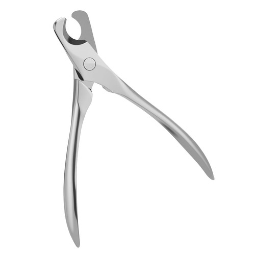 Stainless steel dog - stainless,