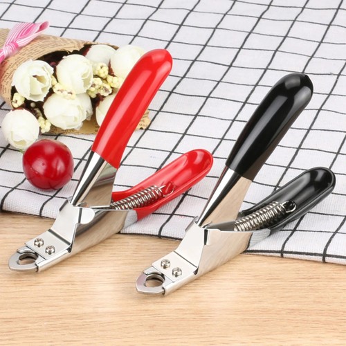Pet nail clippers - nail, cat