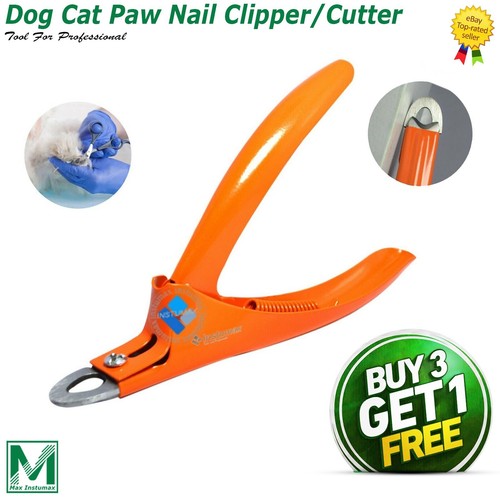 Professional pet dog - pet, cat