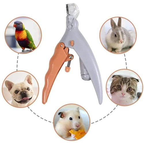 Professional pet nail clippers - nail,