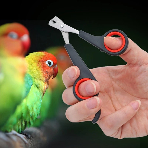 Pet nail clippers - nail, trimmer