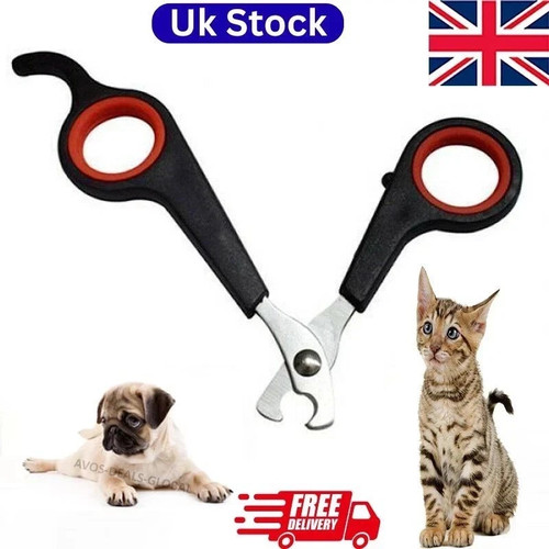 Pet dog nail - dog, cat