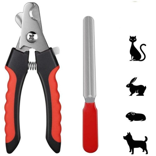 Pet dog cat - nail, claw