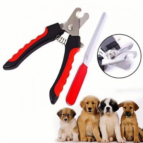 Animal pet dog cat nail - animal,