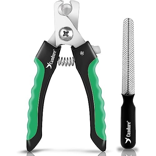 Dog nail clippers pet - dog,