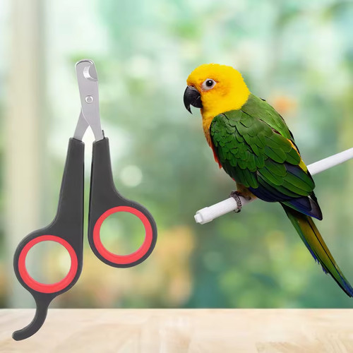 Pet nail clippers - clippers, grooming